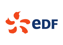 edf logo 2
